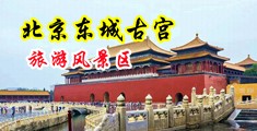 国产美女插逼视频中国北京-东城古宫旅游风景区